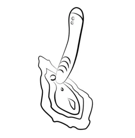 ROMP - HYPE VIBRADOR PUNTO G MULTIFUNCIÓN ROJO