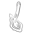 ROMP - HYPE VIBRADOR PUNTO G MULTIFUNCIÓN ROJO ROMP - HYPE VIBRADOR PUNTO G MULTIFUNCIÓN ROJO