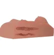 PDX PLUS - WEIBLICHER MASTURBATOR TORSO DOPPELTER EINTRITT CANDY PDX PLUS - WEIBLICHER MASTURBATOR TORSO DOPPELTER EINTRITT CANDY
