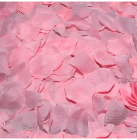 DIABLO PICANTE - 100 PETALI ROSA