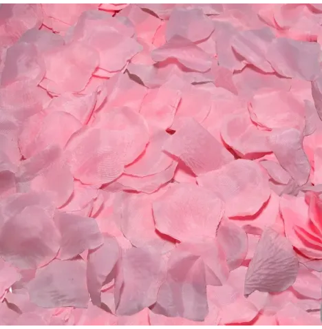 DIABLO PICANTE - 100 PETALI ROSA