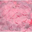 DIABLO PICANTE - 100 PINK PETALS