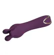PRETTY LOVE - VIBRATORE RICARICABILE LUNAO 10 FUNZIONI VIOLA