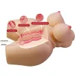 CRAZY BULL - GRACE REALISTIC FEMALE TORSO VAGINA AND ANAL 7.5 KG CRAZY BULL - GRACE REALISTIC FEMALE TORSO VAGINA AND ANAL 7.5 KG