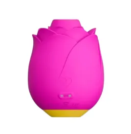 ROMP - ROSE 2.0 ROSA-FÖRMIGES KLITORIS-SAUGWERKZEUG