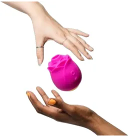 ROMP - ROSE 2.0 ROSA-FÖRMIGES KLITORIS-SAUGWERKZEUG