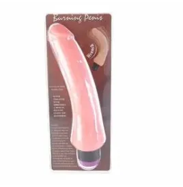 BAILE - VIBRATEUR RÉALISTE 19.5 CM