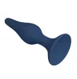 MR PLAY - PLUG ANAL EN SILICONE SLIM BLEU L MR PLAY - PLUG ANAL EN SILICONE SLIM BLEU L