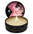SHUNGA - MINI CARESS BY CANDLELIGHT ESPOSITORE CANDELE DA MASSAGGIO 24 UNITÀ SHUNGA - MINI CARESS BY CANDLELIGHT ESPOSITORE CANDELE DA MASSAGGIO 24 UNITÀ