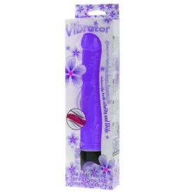 BAILE - VIBRATEUR DE MULTIVITESSES 21.5 CM VIOLET