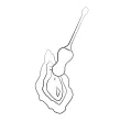ROMP - CELLO MULTIFUNKTIONS-VIBRATIONS-EI TÜRKIS FERNBEDIENUNG ROMP - CELLO MULTIFUNKTIONS-VIBRATIONS-EI TÜRKIS FERNBEDIENUNG