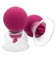 SHE.E.O - BOMBA VIBRADORA Y GIRATORIA PARA PEZONES Y CLÍTORIS SHE.E.O - BOMBA VIBRADORA Y GIRATORIA PARA PEZONES Y CLÍTORIS