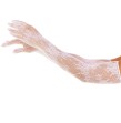 LEG AVENUE - RED FLORAL GLOVES BLACK LEG AVENUE - RED FLORAL GLOVES BLACK