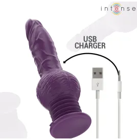 INTENSE - TATUM MULTIFUNCTION VIBRATOR WITH UP AND DOWN VIBRATION 24 CM PURPLE