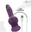 INTENSE - TATUM MULTIFUNCTION VIBRATOR WITH UP AND DOWN VIBRATION 24 CM PURPLE INTENSE - TATUM MULTIFUNCTION VIBRATOR WITH UP AND DOWN VIBRATION 24 CM PURPLE