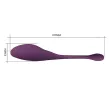 PRETTY LOVE - DORA INVISIBLE VIBRATOR WITH FREE APP PRETTY LOVE - DORA INVISIBLE VIBRATOR WITH FREE APP