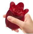 PRETTY LOVE - SECRET GARDEN TESTA DA MASSAGGIO ROSA PRETTY LOVE - SECRET GARDEN TESTA DA MASSAGGIO ROSA