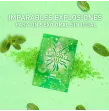 SECRETPLAY - MINT EXPLOSIVE CANDIES SECRETPLAY - MINT EXPLOSIVE CANDIES