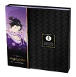 SHUNGA - KIT GEISHA CATTIVA SHUNGA - KIT GEISHA CATTIVA