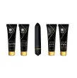 SHUNGA - KIT GEISHA CATTIVA SHUNGA - KIT GEISHA CATTIVA