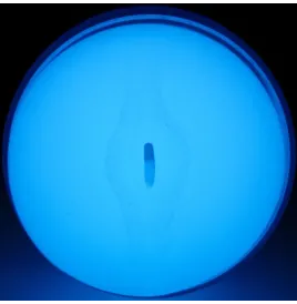 KIIROO - SENTEZ GLOW IN THE DARK STROKER