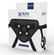 X RAY - HARNESS WITH SILICONE RINGS X RAY - HARNESS WITH SILICONE RINGS