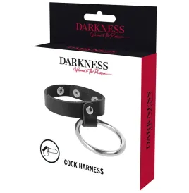 DARKNESS - METALLRING FÜR PENIS UND HODEN