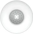 PRETTY LOVE - MASTURBATEUR HOMME BLANC DOEUF MODÈLE 2 PRETTY LOVE - MASTURBATEUR HOMME BLANC DOEUF MODÈLE 2