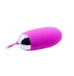 PRETTY LOVE - EGG BERGER TÉLÉCOMMANDE 12 V PRETTY LOVE - EGG BERGER TÉLÉCOMMANDE 12 V