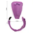 BAILE - THONG WITH VIBRATOR WITH LILAC REMOTE CONTROL BAILE - THONG WITH VIBRATOR WITH LILAC REMOTE CONTROL