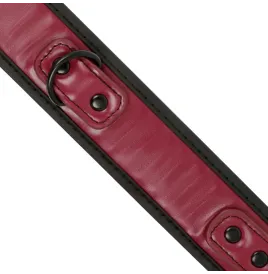 FETISH SUBMISSIVE DARK ROOM - COLLIER CHAÎNE DOUBLURE EN NÉOPRÈNE