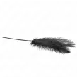 KINK - PLUMES DAUTRUCHE POUR TICKLE 19 CM