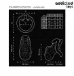 ADDICTED TOYS LOCKED - GABBIA PER PENE CAVA CON CATENA 10,5 CM ADDICTED TOYS LOCKED - GABBIA PER PENE CAVA CON CATENA 10,5 CM