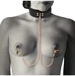 COQUETTE CHIC DESIRE - COLLIER PINCE TIP FANTAISIE AVEC DOUBLURE EN NÉOPRÈNE COQUETTE CHIC DESIRE - COLLIER PINCE TIP FANTAISIE AVEC DOUBLURE EN NÉOPRÈNE