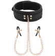COQUETTE CHIC DESIRE - COLLIER PINCE TIP FANTAISIE AVEC DOUBLURE EN NÉOPRÈNE COQUETTE CHIC DESIRE - COLLIER PINCE TIP FANTAISIE AVEC DOUBLURE EN NÉOPRÈNE