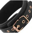 COQUETTE CHIC DESIRE - COLLIER PINCE TIP FANTAISIE AVEC DOUBLURE EN NÉOPRÈNE COQUETTE CHIC DESIRE - COLLIER PINCE TIP FANTAISIE AVEC DOUBLURE EN NÉOPRÈNE