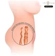 INTENSE DEEP TOUCH - JESSE TORSO DOPPIA VAGINA E MASTURBATORE ANO INTENSE DEEP TOUCH - JESSE TORSO DOPPIA VAGINA E MASTURBATORE ANO