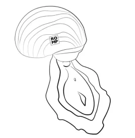 ROMP - SPIN CLITORAL SUCTION ANTITUDE WITH ROTATING OPING AND CLINGS