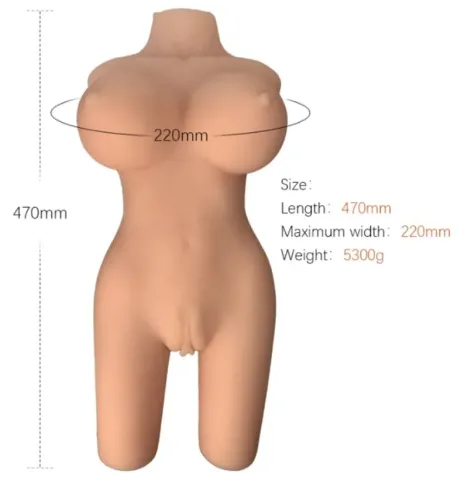 ARMONY - REALISTIC FEMALE TORSO MODEL 6