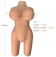 ARMONY - REALISTIC FEMALE TORSO MODEL 6 ARMONY - REALISTIC FEMALE TORSO MODEL 6