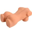 ARMONY - MODÈLE RÉALISTE DE TORSE FÉMININ 7 ARMONY - MODÈLE RÉALISTE DE TORSE FÉMININ 7