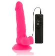 DIVERSIA - DILDO REALÍSTICO FLEXIBLE CON VIBRACIÓN ROSA 18 CM -O- 4 CM DIVERSIA - DILDO REALÍSTICO FLEXIBLE CON VIBRACIÓN ROSA 18 CM -O- 4 CM