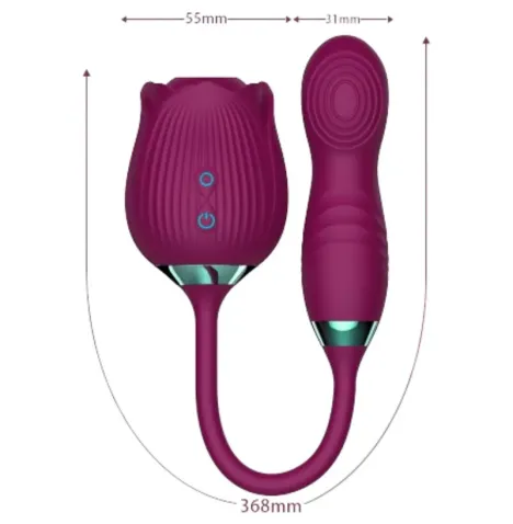 ARMONY - DELIGHT FLOWER SAUGEN and STOSSEN VIOLETT