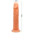 BAILE - VIVE REALISTISCHER DILDO 19.8 CM NATÜRLICHE FARBE BAILE - VIVE REALISTISCHER DILDO 19.8 CM NATÜRLICHE FARBE