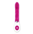 PRETTY LOVE - FLIRTATION VIBRATOR WITH RABBIT GENE PRETTY LOVE - FLIRTATION VIBRATOR WITH RABBIT GENE