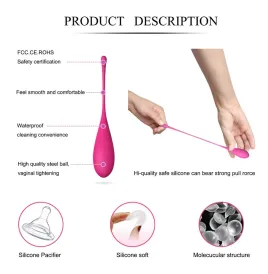 LESLIE - KEGEL FIT PELVIC MUSCLE TRAINING SET 6 WEIGHTS
