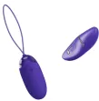 PRETTY LOVE - BERGER YOUTH VIOLATING EGG REMOTE CONTROL VIOLET PRETTY LOVE - BERGER YOUTH VIOLATING EGG REMOTE CONTROL VIOLET