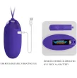 PRETTY LOVE - BERGER YOUTH VIOLATING EGG REMOTE CONTROL VIOLET PRETTY LOVE - BERGER YOUTH VIOLATING EGG REMOTE CONTROL VIOLET