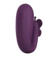 PRETTY LOVE - VIBRATORE A UOVO KLAY CON SPINTA, CONTROLLO TRAMITE APP, VIOLA PRETTY LOVE - VIBRATORE A UOVO KLAY CON SPINTA, CONTROLLO TRAMITE APP, VIOLA