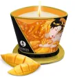 SHUNGA - BOUGIE DE MASSAGE MANGUE 170 ML SHUNGA - BOUGIE DE MASSAGE MANGUE 170 ML